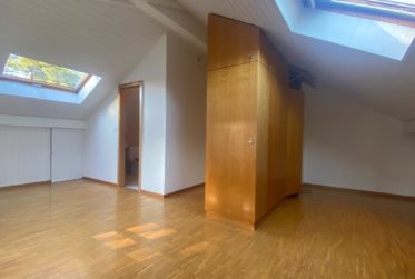 Villa familiale de 6.5 pièces en excellent état à Mies-Tannay