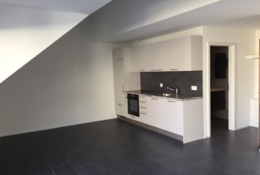 NYON / EYSINS - SUPERBE 2 1/2 pièces + cuisine au 2e étage avec BALCON