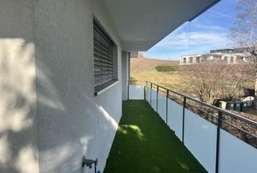 Magnifique appartement avec vue sur le la Léman