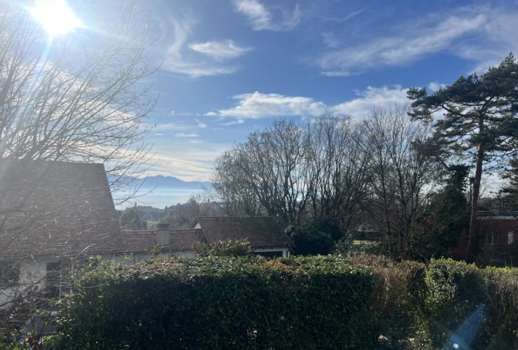 Magnifique appartement avec vue sur le la Léman