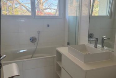 Magnifique appartement avec vue sur le la Léman