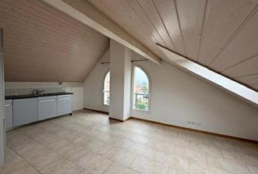 Très bel appartement en excellent état