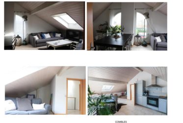 Très bel appartement en excellent état