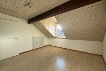 Magnifique triplex avec vue sur le lac à Bursins